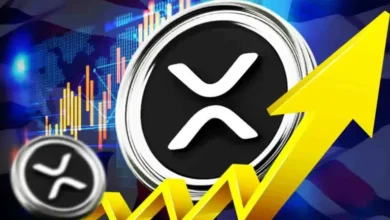 XRP Price UK Insights: Why It's Gaining Popularity Among British Investors