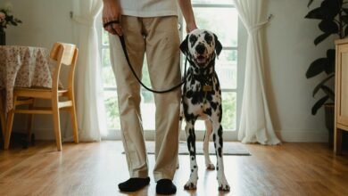 caller complaints about alerts