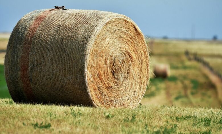 fusion node expansion strategy