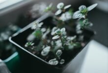 innovative problem solving strategies