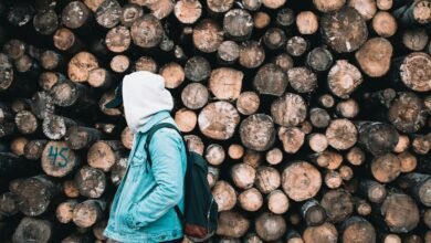 surukuku online user engagement